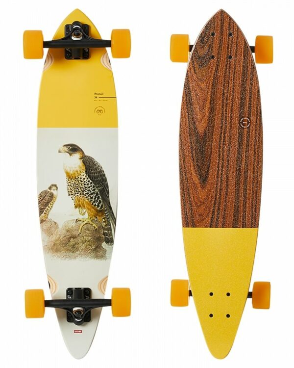 FALCON 34"